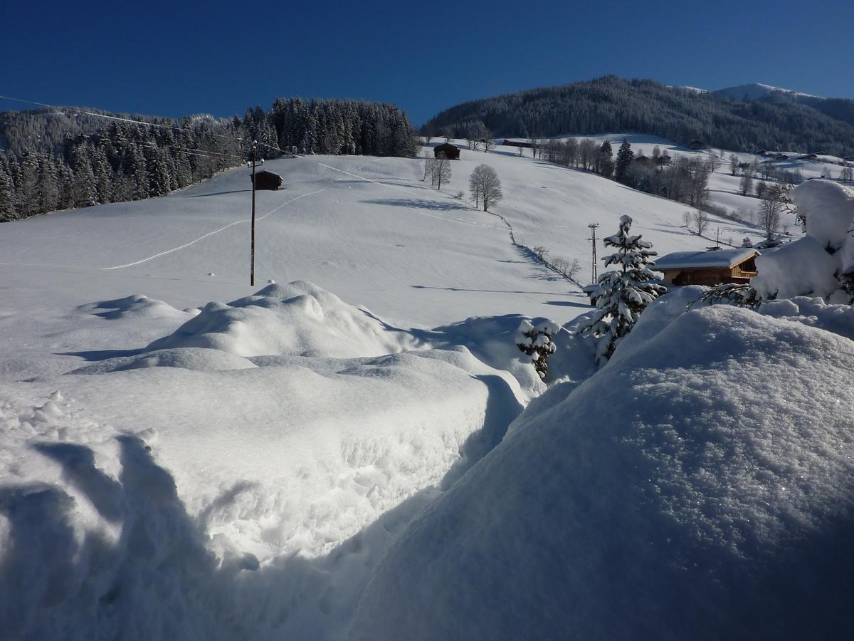 Appartements Stoffenhof Alpbach Eksteriør billede
